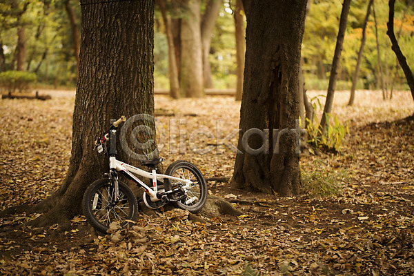 사람없음 JPG 아웃포커스 포토 가을(계절) 가을풍경 계절 공원 나무기둥 나뭇잎 낙엽 숲 야외 자연 자전거 주간 풍경(경치)
