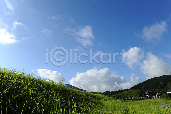 사람없음 JPG 포토 구름(자연) 맑음 산 식물 야외 자연 주간 주택 초원(자연) 풀(식물) 풍경(경치) 하늘