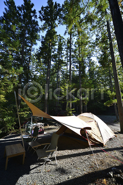 사람없음 JPG 포토 나무 라이프 숲 식물 야외 여행 의자 자동차 자연 주간 천막 캠핑 탁자 텐트