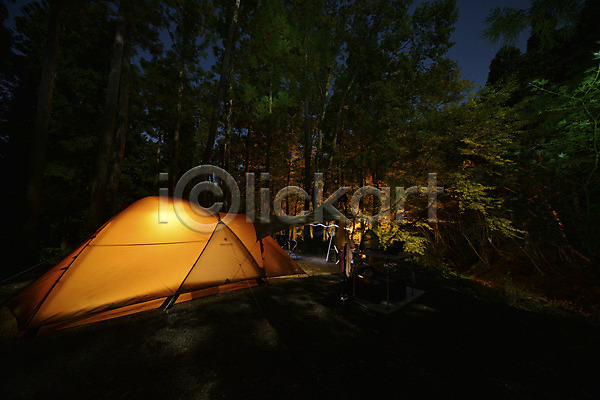 사람없음 JPG 포토 나무 라이프 빛 숲 식물 야외 어둠 여행 조명 캠핑 텐트