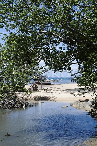 사람없음 JPG 포토 나무 바다 배(교통) 식물 야외 자연 주간 풍경(경치) 해변