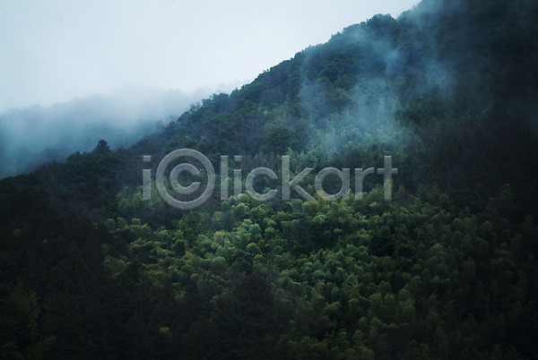 사람없음 JPG 포토 구름(자연) 나무 산 숲 식물 안개 야외 자연 주간 풍경(경치)