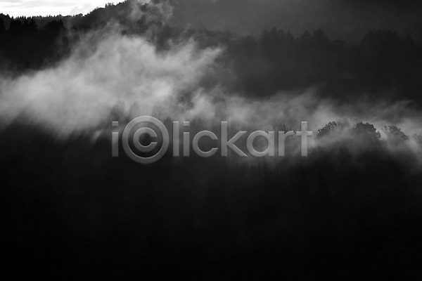 사람없음 JPG 포토 흑백 구름(자연) 나무 산 숲 식물 안개 야외 자연 풍경(경치)