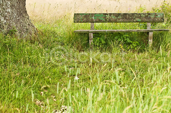 침묵 평화 휴식 사람없음 JPG 포토 해외이미지 나무 나무껍질 목재 손목시계 숲 시골 앉기 은퇴 의자 자연 초록색 해외202004
