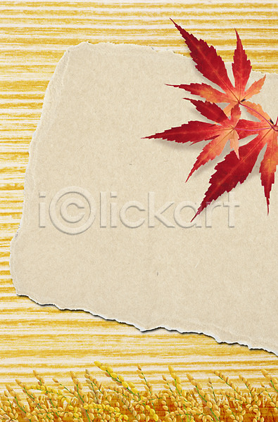 사람없음 PSD 편집이미지 가을(계절) 계절 나뭇잎 단풍 벼이삭 종이 편집 풍경(경치) 프레임