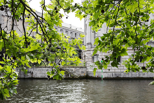 사람없음 JPG 포토 강 건물 나무 나뭇잎 독일 배경화면 베를린 식물 야외 유럽 유럽풍경 주간 풍경(경치) 해외 해외풍경