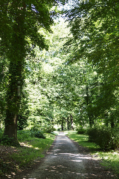 사람없음 JPG 포토 가로수 공원 길 나무 독일 베를린 식물 야외 유럽 유럽풍경 자연 주간 티어가르텐 풍경(경치) 해외 해외풍경