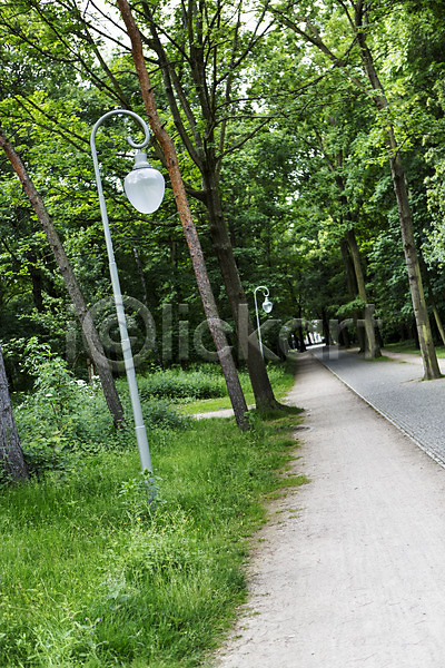 사람없음 JPG 포토 가로등 가로수 공원 길 나무 독일 베를린 식물 야외 유럽 유럽풍경 주간 초원(자연) 티어가르텐 풍경(경치) 해외 해외풍경