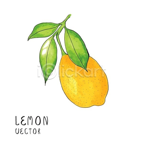 사람없음 EPS 일러스트 해외이미지 그림 노란색 레몬 수채화(물감) 잎 해외202004