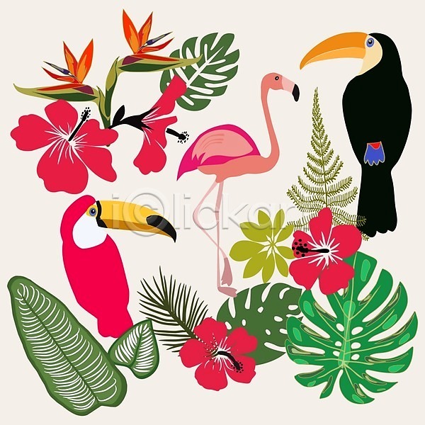 EPS 실루엣 일러스트 해외이미지 그래픽 꽃 꽃무늬 디자인 미술 백그라운드 벚꽃 세트 손바닥 식물 여름(계절) 열대우림 유행 이국적 인쇄 잎 자연 초록색 패턴 플라밍고 하와이 하와이인 해외202004 히비스커스
