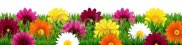 변화 신선 활발 EPS 일러스트 해외이미지 고립 국화 그룹 꽃 꽃무늬 꽃잎 노란색 데이지 많음 벚꽃 보라색 봄 분홍색 빨간색 섞기 수집 식물 여름 오렌지 잎 자르기 자연 컬러풀 해바라기 해외202004 해외일러스트 흰색