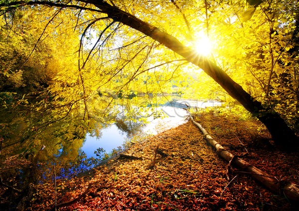 사람없음 JPG 포토 해외이미지 가을(계절) 가을풍경 강 나무 낙엽 야외 자연 주간 해외202004 햇빛 호수