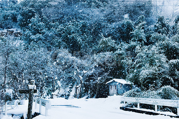 사람없음 JPG 포토 거리 겨울 계절 길 나무 눈(날씨) 도로 식물 야외 우체통 자연 주간 주택 풍경(경치)