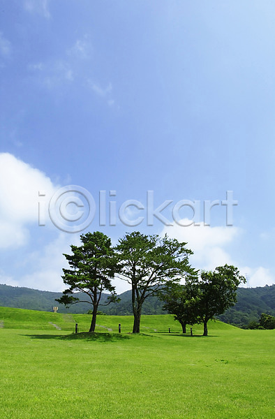 사람없음 JPG 포토 구름(자연) 나무 산 세그루 식물 야외 자연 잔디 주간 초원(자연) 하늘