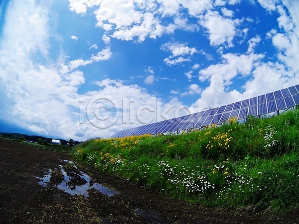 사람없음 JPG 포토 구름(자연) 꽃 노란색 식물 야외 자연 주간 집열판 컬러 태양에너지 풍경(경치) 하늘 흰색
