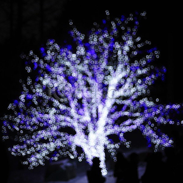 신비 사람없음 JPG 소프트포커스 포토 나무 백그라운드 보케 빛 조명 흐림