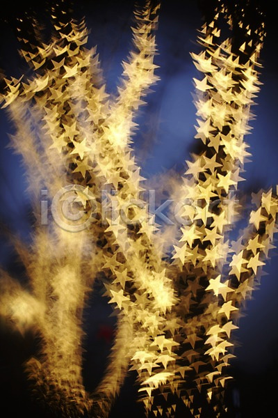 신비 사람없음 JPG 소프트포커스 포토 나무 백그라운드 별 보케 빛 조명 흐림
