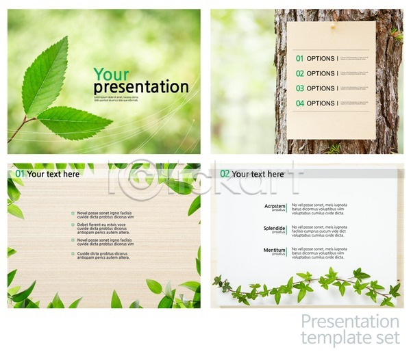 사람없음 PPT PSD 문서템플릿 템플릿 나무 나뭇잎 레이아웃 문서 세트 식물 자연 제안서 텍스트 편집 프레젠테이션