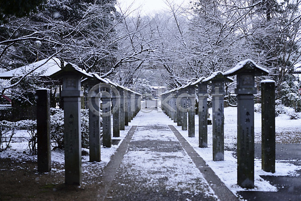 사람없음 JPG 포토 건축물 겨울 계절 길 나무 나뭇가지 눈(날씨) 식물 신사(일본건축) 야외 일본 자연 주간 풍경(경치) 해외 해외풍경