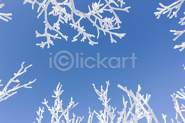 사람없음 JPG 포토 겨울 계절 나무 나뭇가지 눈꽃 덕유산 상고대 야외 자연 전라북도 주간 풍경(경치) 하늘