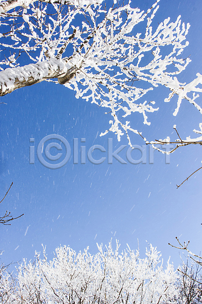 사람없음 JPG 포토 겨울 계절 나무 날리기 눈꽃 덕유산 상고대 야외 자연 전라북도 주간 풍경(경치)