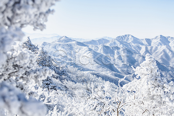 사람없음 JPG 포토 겨울 계절 눈꽃 덕유산 산 산등성이 상고대 야외 자연 전라북도 정상 주간 풍경(경치)