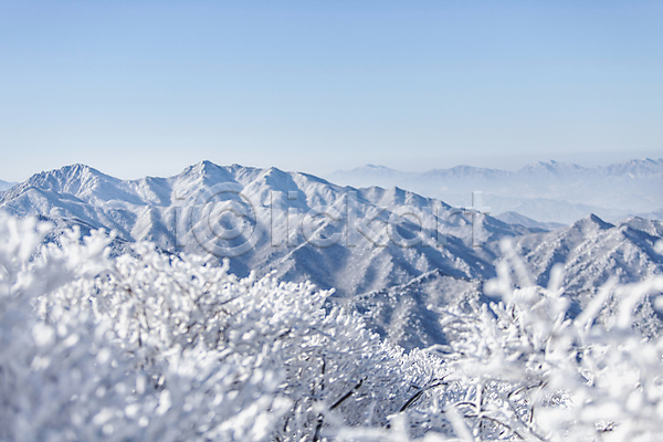 사람없음 JPG 포토 겨울 계절 나무 눈꽃 덕유산 산 산등성이 상고대 야외 자연 전라북도 정상 주간 풍경(경치)