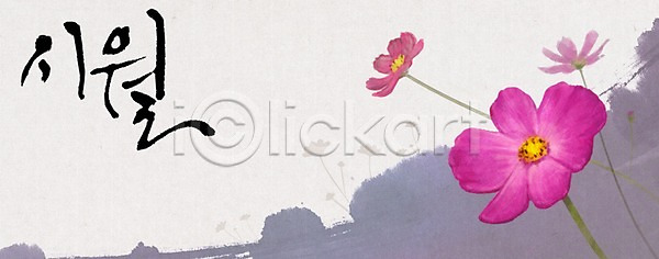 사람없음 PSD 일러스트 10월 계절 꽃 꽃백그라운드 달력 백그라운드 분홍색 식물 캘리그라피 컬러 코스모스(꽃) 한글