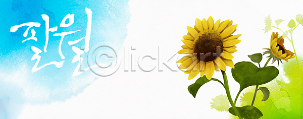 사람없음 PSD 일러스트 8월 계절 꽃 꽃백그라운드 노란색 달력 백그라운드 식물 캘리그라피 컬러 한글 해바라기