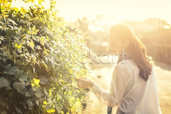 여유 휴식 20대 사람 성인 성인여자한명만 여자 한국인 한명 JPG 뒷모습 포토 나무 나뭇잎 만지기 상반신 서기 성읍민속촌 야외 여행 제주도 주간 한국 햇빛