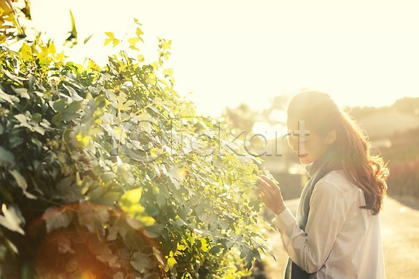 여유 휴식 20대 사람 성인 성인여자한명만 여자 한국인 한명 JPG 옆모습 포토 나무 나뭇잎 만지기 상반신 서기 성읍민속촌 야외 여행 제주도 주간 한국 햇빛