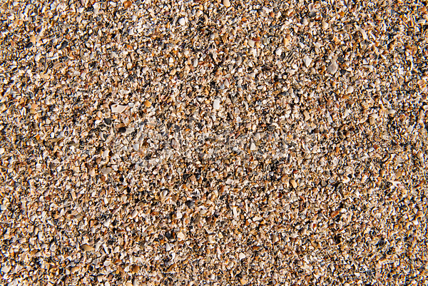 사람없음 JPG 포토 해외이미지 껍질 모래 묘사 물 바다 바닥 백그라운드 빛 자연 태양 패턴 해외202004
