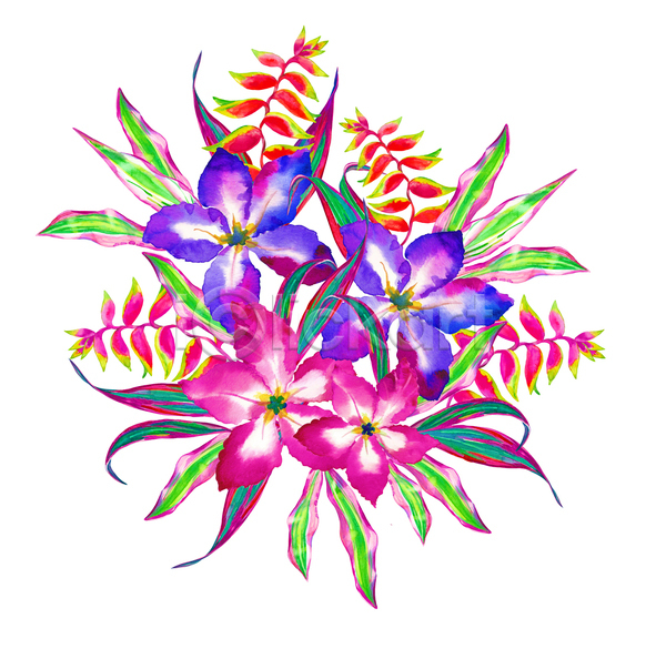 사람없음 JPG 일러스트 포토 해외이미지 꽃 수채화(물감) 열대꽃 잎 해외202004