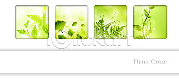 성장 순수 신선 화목 휴식 EPS 일러스트 해외이미지 건강 꽃무늬 내추럴 바이오 봄 새싹 생물학 생태학 식물 양치류 에코 유기농 잎 자연 줄기 초록색 추상 테라피 프레임 해외202004 해외일러스트 허브 환경