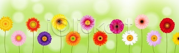 신선 축하 EPS 일러스트 템플릿 해외이미지 가로 개화 거베라 계절 꽃 꽃다발 꽃무늬 꽃잎 내추럴 노란색 다발 데이지 발렌타인데이 발표 배너 백그라운드 벚꽃 보라색 봄 분홍색 식물 신용카드 엽서 장식 질감 추상 해외202004 해외일러스트