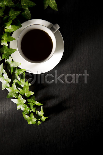 여유 휴식 사람없음 JPG 포토 백그라운드 스튜디오촬영 식물 실내 아이비 오브젝트 음료 커피 커피잔