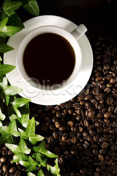 휴식 사람없음 JPG 포토 백그라운드 스튜디오촬영 식물 실내 아이비 오브젝트 원두 음료 커피 커피잔