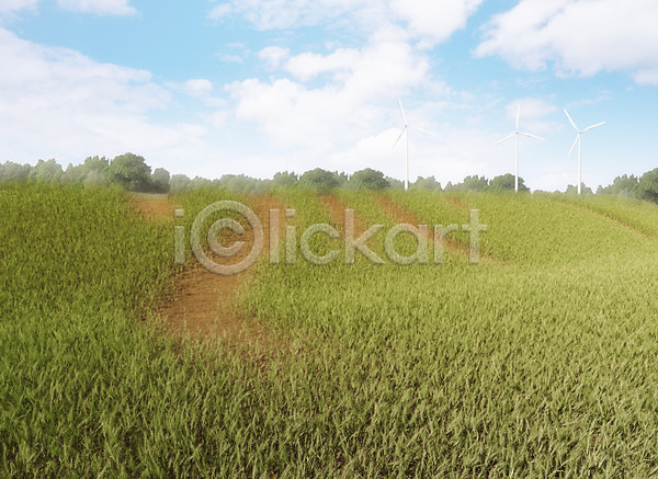 사람없음 3D PSD 편집이미지 구름(자연) 땅 보리 식물 야외 잔디 주간 초원(자연) 하늘