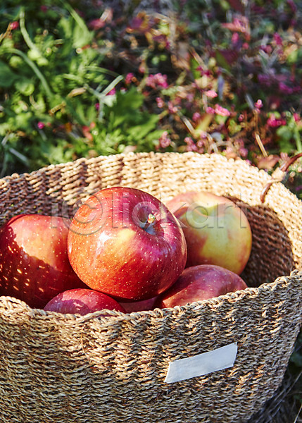 사람없음 JPG 아웃포커스 포토 과일 바구니 백그라운드 빨간색 사과(과일) 야외 여러개 주간 컬러