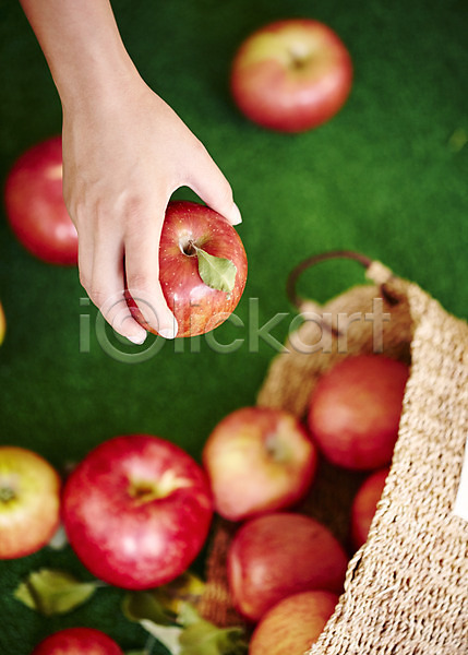 사람 신체부위 JPG 아웃포커스 포토 하이앵글 과일 들기 바구니 백그라운드 빨간색 사과(과일) 손 스튜디오촬영 실내 여러개 컬러