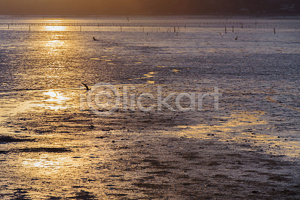 사람없음 JPG 포토 갯벌 노을 바다 순천 아시아 야외 일몰 자연 전라남도 주간 풍경(경치) 한국 해변