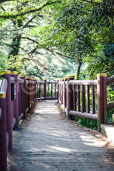 사람없음 JPG 포토 길 나무 다리(건축물) 숲길 야외 울타리 제주도 주간 풍경(경치) 한국