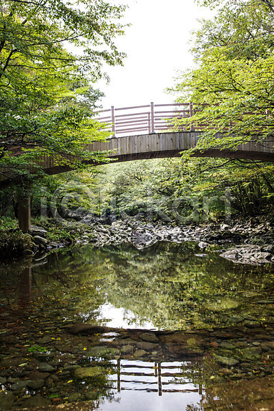 사람없음 JPG 포토 계곡 나무 다리(건축물) 숲 야외 자연 제주도 주간 풍경(경치) 하늘 한국