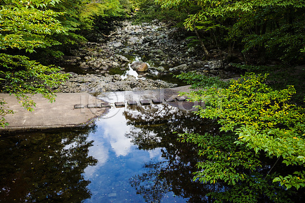 사람없음 JPG 포토 계곡 나무 돌다리 숲 야외 자연 제주도 주간 풀(식물) 풍경(경치) 한국