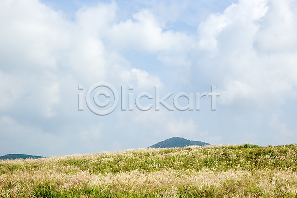 사람없음 JPG 포토 구름(자연) 야외 억새 억새밭 언덕 제주도 주간 풍경(경치) 하늘 한국