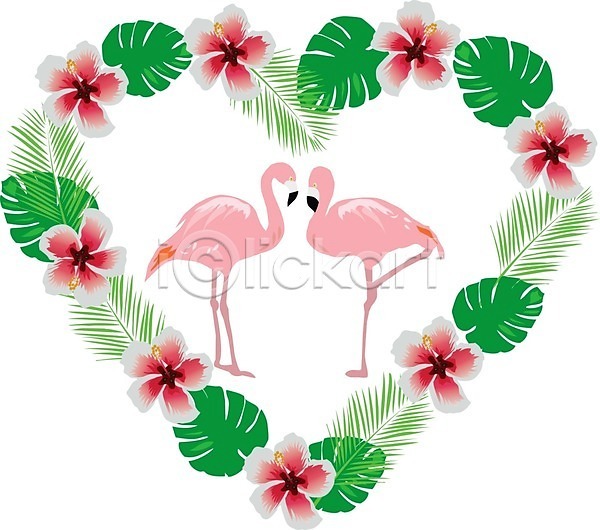 EPS 일러스트 해외이미지 2 꽃 꽃무늬 동물 디자인 배너 백그라운드 분무기 분홍색 빨간색 숲 식물 야생동물 얼룩 여름(계절) 잎 자연 장식 조류 초록색 커플 플라밍고 해외202004 히비스커스