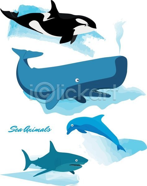 사람없음 EPS 일러스트 해외이미지 고래 돌고래 범고래 상어 여러마리 해외202004 향유고래