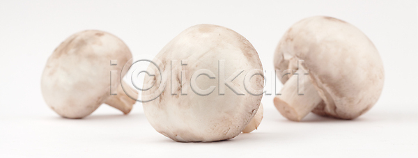 신선 사람없음 JPG 포토 해외이미지 고립 먹기 반사 백그라운드 버섯 수집 숙성 식용 오브젝트 유기농 음식 재료 채소 채식주의자 해외202004 해외포토 흰색