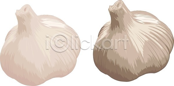 신선 EPS 실루엣 일러스트 해외이미지 건강 날것 내추럴 농업 다이어트 디자인 라이프스타일 마늘 머리 먹기 메뉴 백그라운드 비건 뿌리 상품 수확 식물 식사 에코 엘리먼트 오브젝트 요리 유기농 음식 자연 재료 전구 조미료 채소 채식주의자 해외202004 해외일러스트 향 향신료 허브 흰색