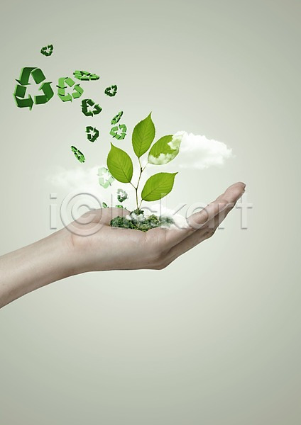 환경보전 신체부위 한명 PSD 편집이미지 구름(자연) 그린슈머 그린캠페인 나뭇잎 들기 손 식물 심볼 에코 자연 자연보호 재활용 초록색 캠페인 편집 화살표